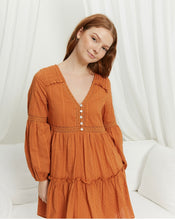 Load image into Gallery viewer, Toral Mini Dress in Rust